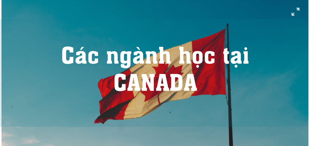 chọn ngành học phù hợp tại Canada
