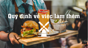 Quy đinh việc làm thêm tại Hà Lan