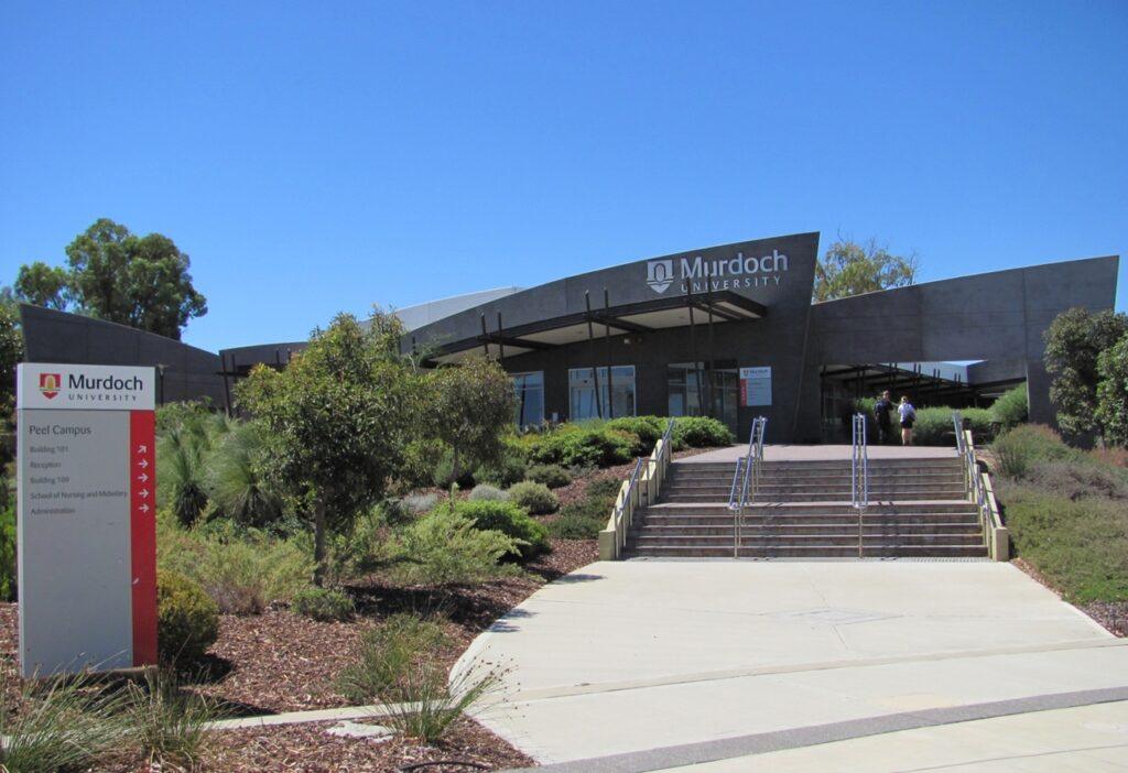 đại học murdoch tại singapore