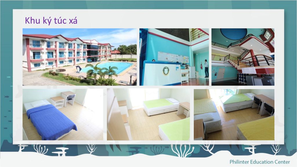 KTX trại hè Philinter