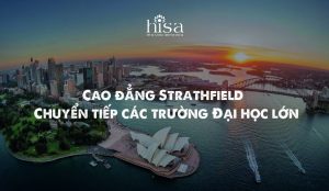 Cao đẳng Strathfield – Chuyển tiếp các trường Đại học lớn