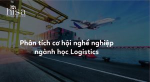 Du học Hà Lan ngành Logistic, nên hay không