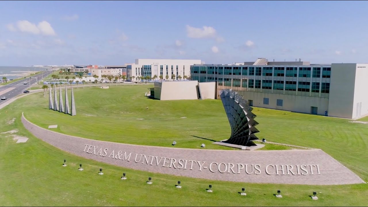 Đại học Texas A&M University-Corpus Christi [Updated] - Du Học HISA