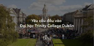 Yêu cầu đầu vào đại học Trinity College Dublin