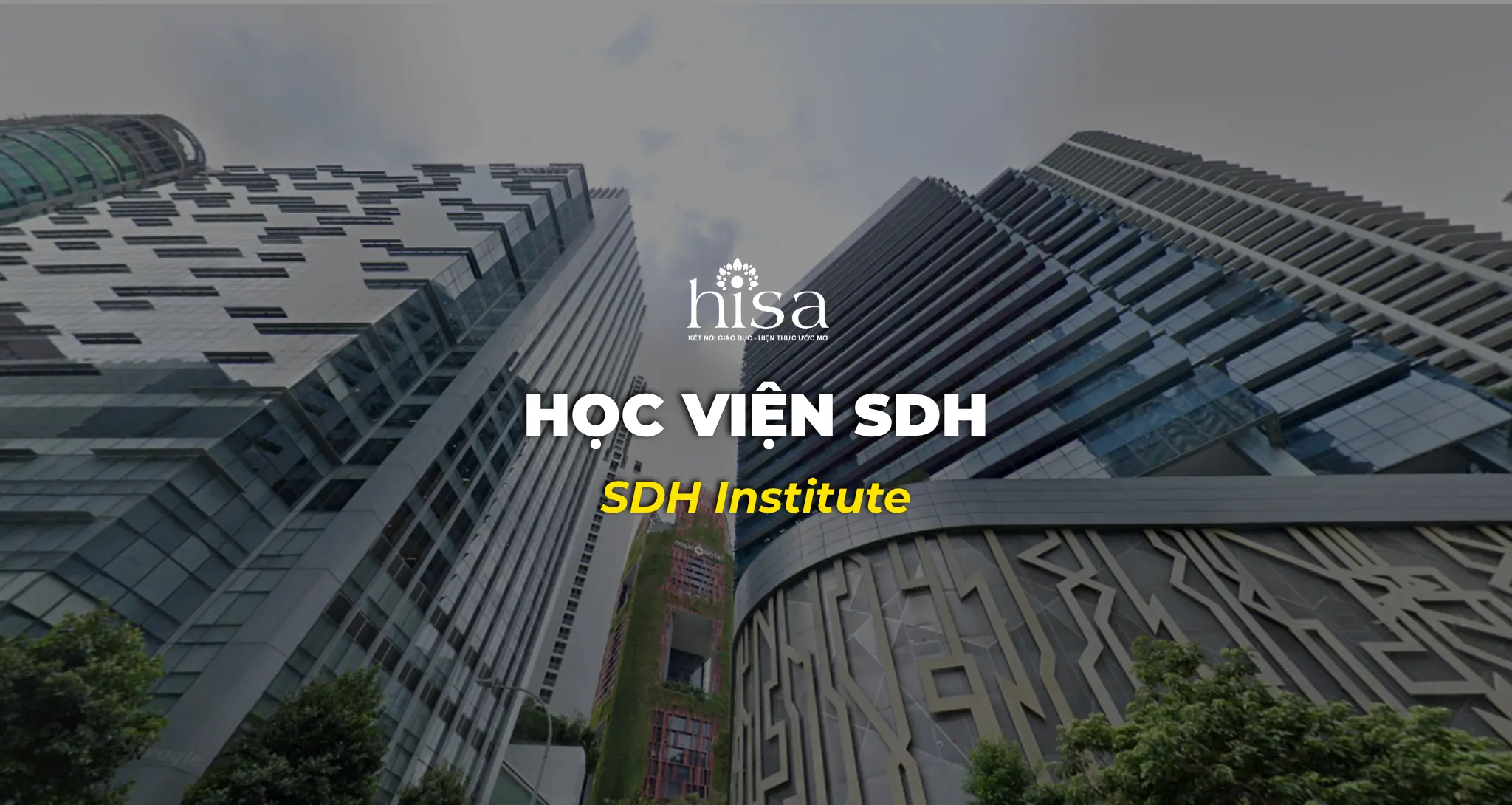 SDH Institute