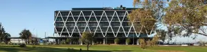 mit-manukau institute of technology