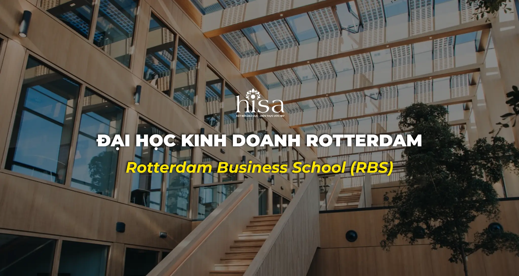 Đại học kinh doanh Rotterdam