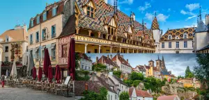 Học tập tại Vùng Burgundy của Pháp