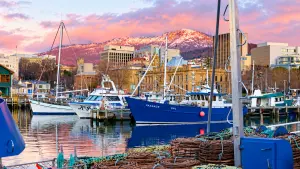 bang Tasmania - du học Úc tại Tasmania