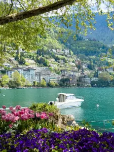 học tập tại thành phố Montreux