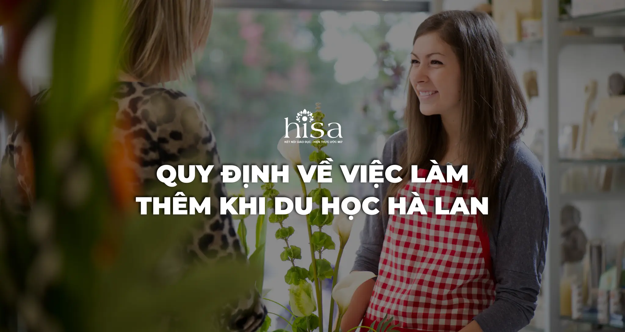 Du học Hà Lan có được làm thêm không?