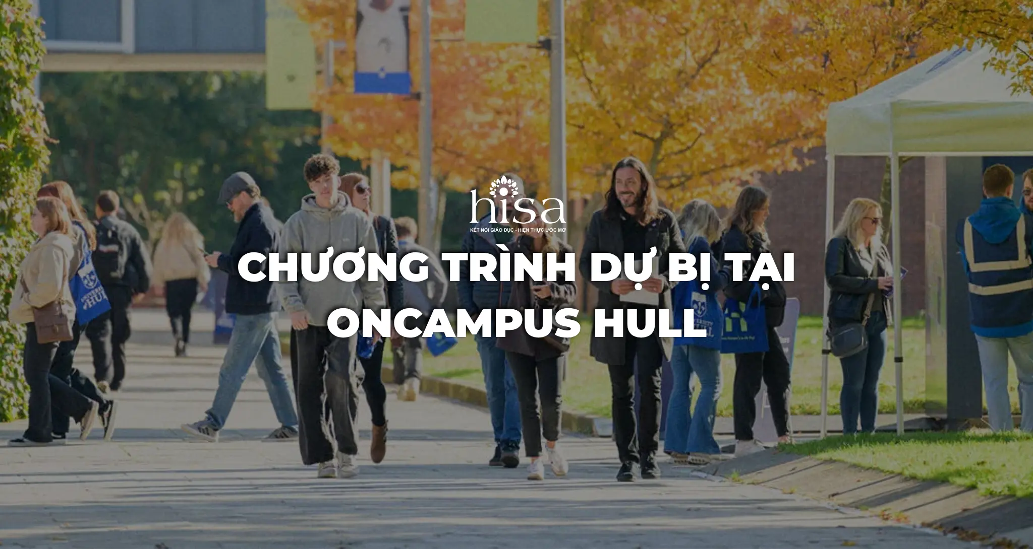 Chương trình dự bị tại ONCAMPUS HULL