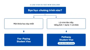 2-loai-visa-du-hoc-new-zealand